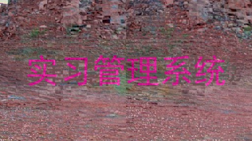 实习管理系统