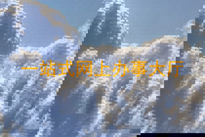 一站式网上办事大厅
