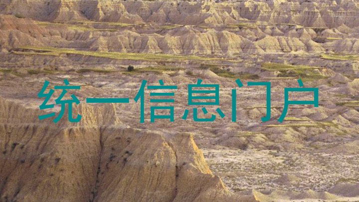 统一信息门户