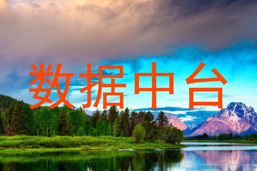 数据中台