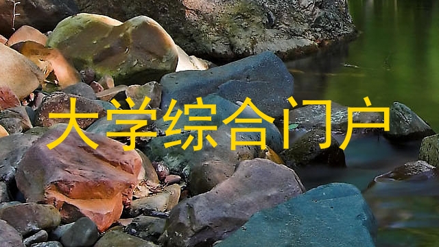 大学综合门户
