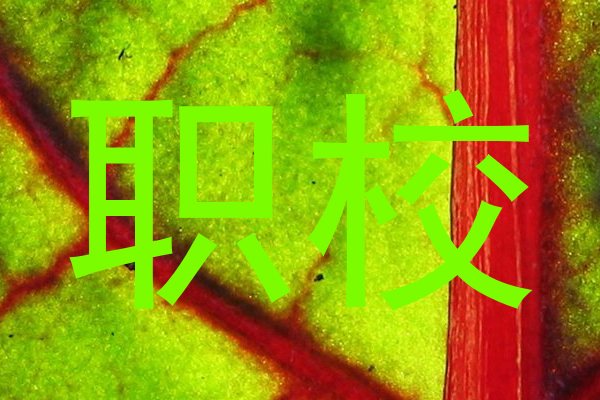 职校