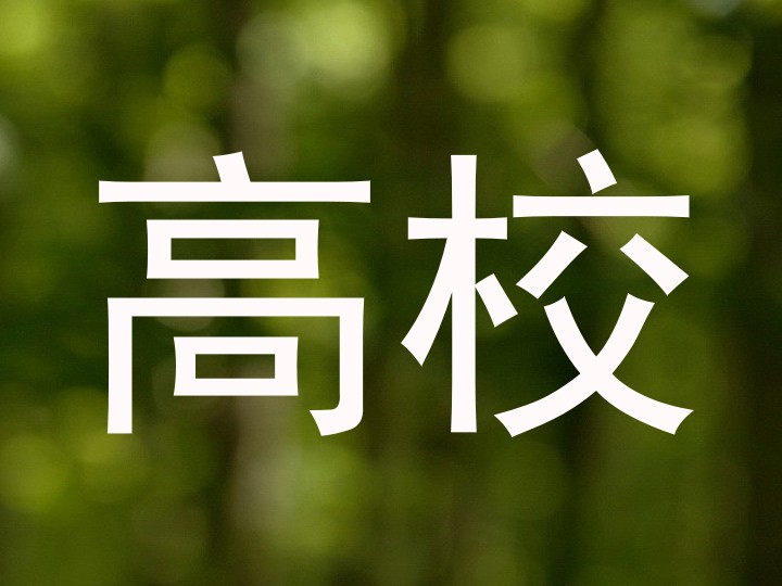 高校