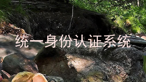统一身份认证系统