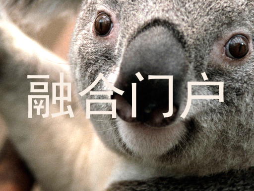 融合门户