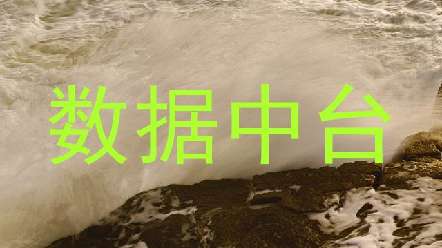 数据中台