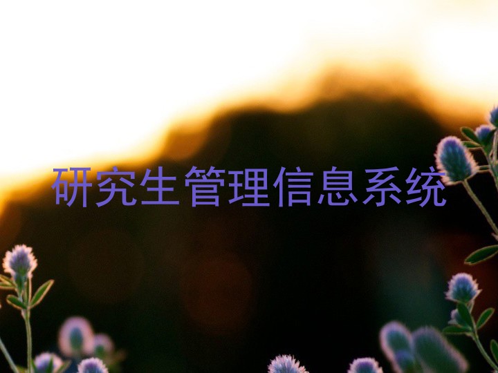 研究生管理信息系统