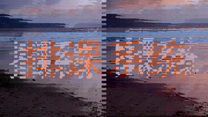 排课系统