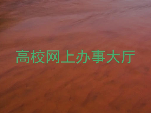高校网上办事大厅