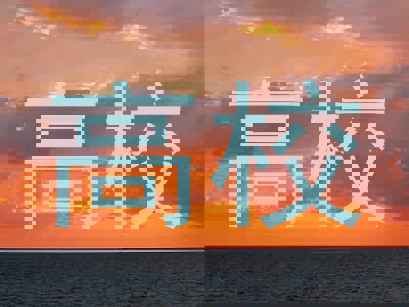 高校