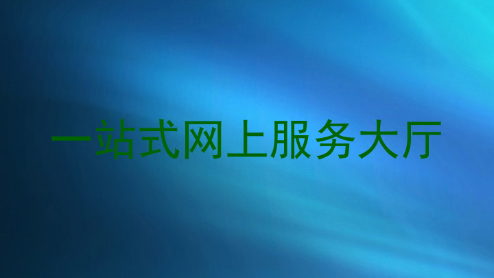 一站式网上服务大厅
