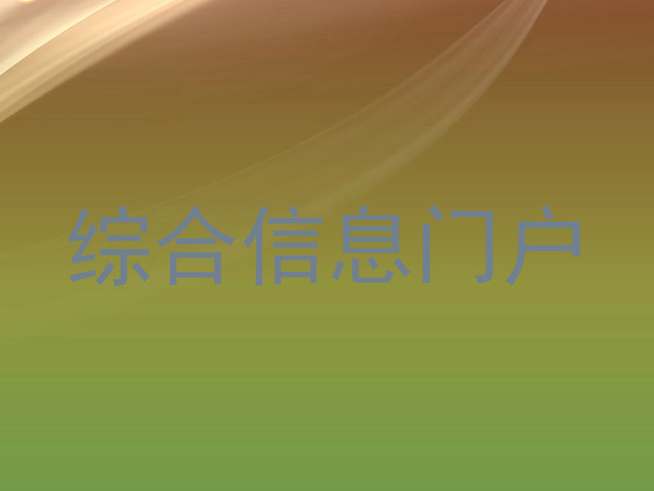 综合信息门户