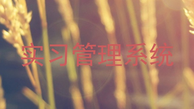 实习管理系统