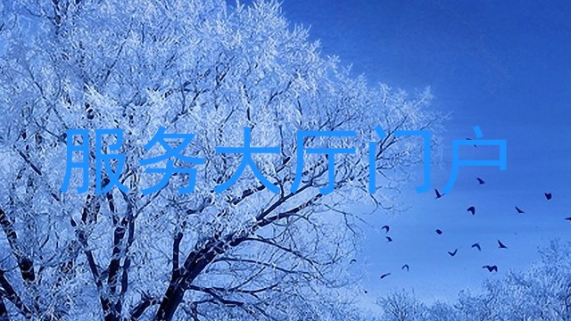 服务大厅门户