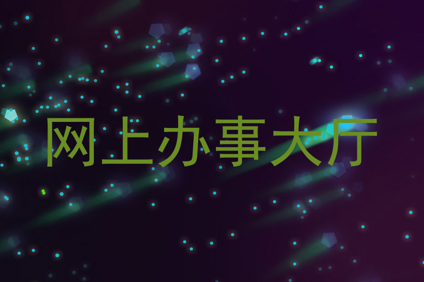 网上办事大厅