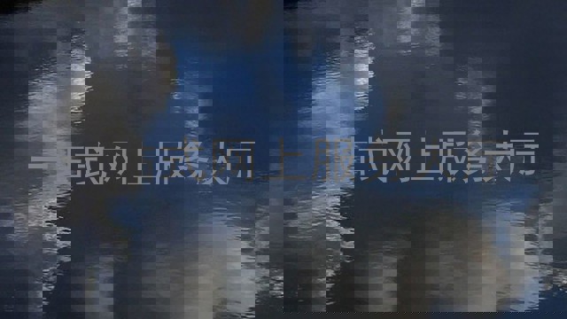 一站式网上服务大厅