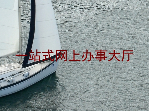 一站式网上办事大厅