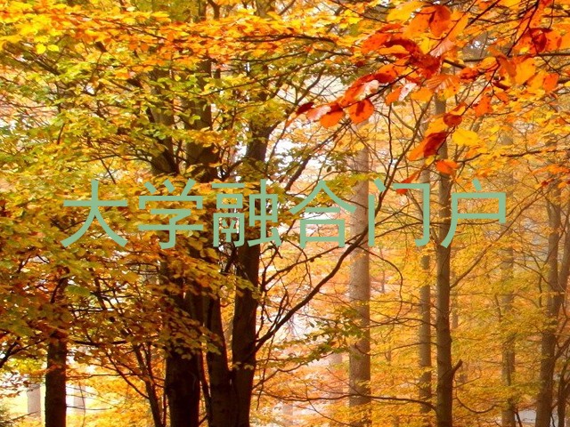 大学融合门户