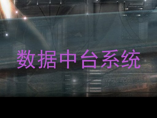 数据中台系统