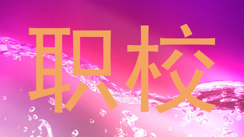 职校