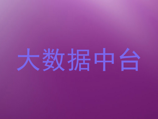 大数据中台