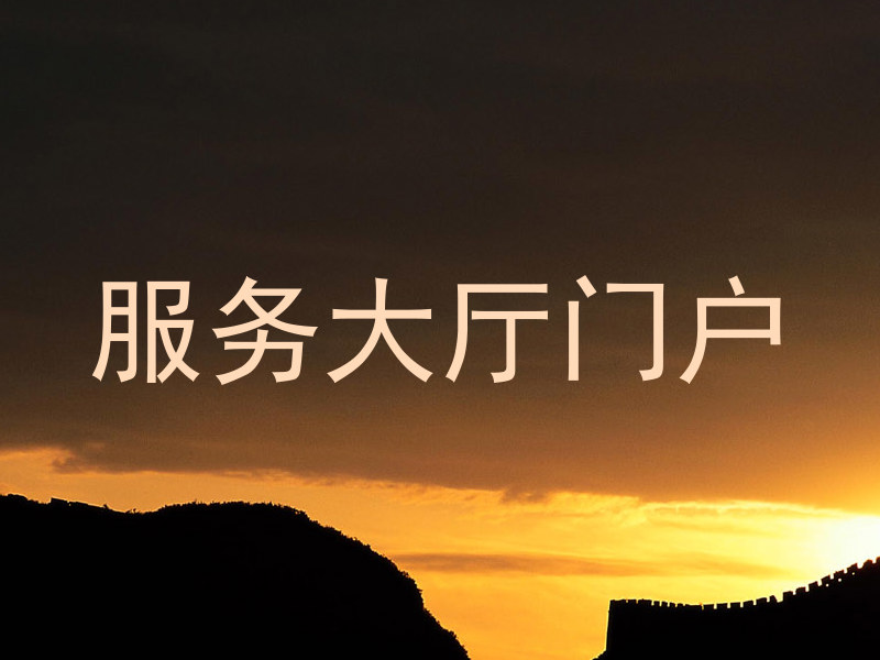 服务大厅门户