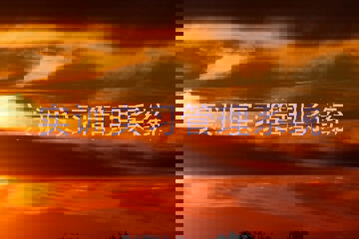 实训实习管理系统