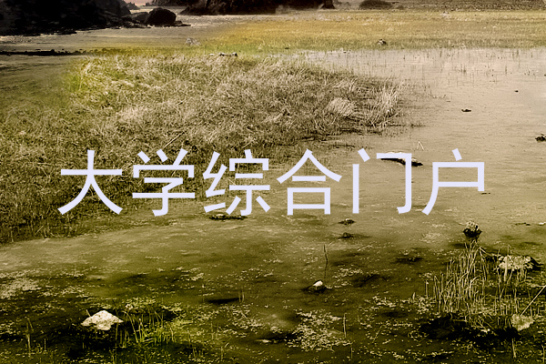 大学综合门户