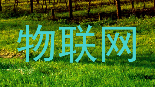 物联网