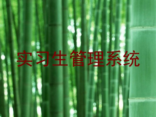 实习生管理系统