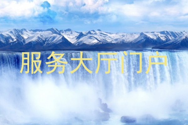 服务大厅门户