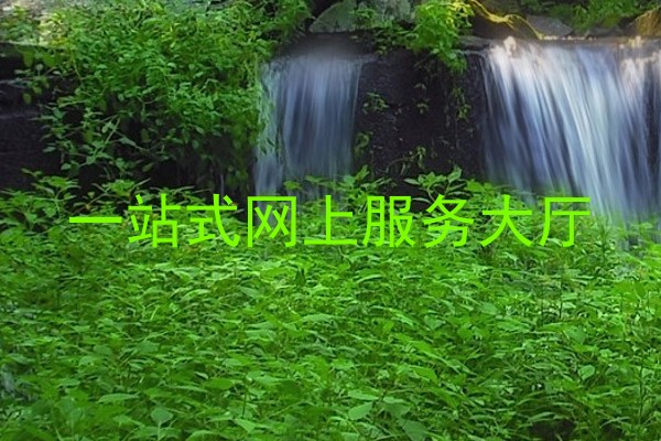 一站式网上服务大厅