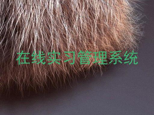 在线实习管理系统