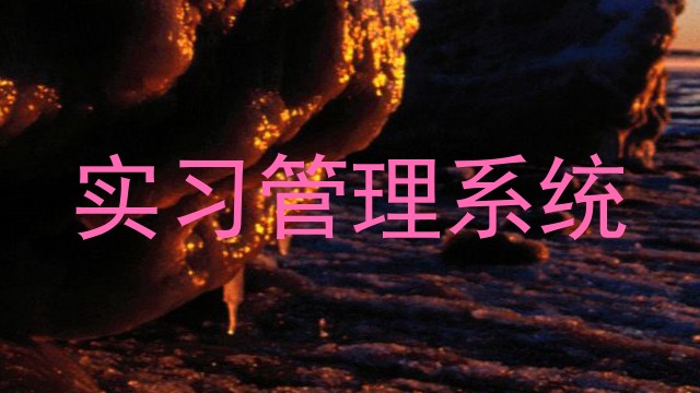 实习管理系统