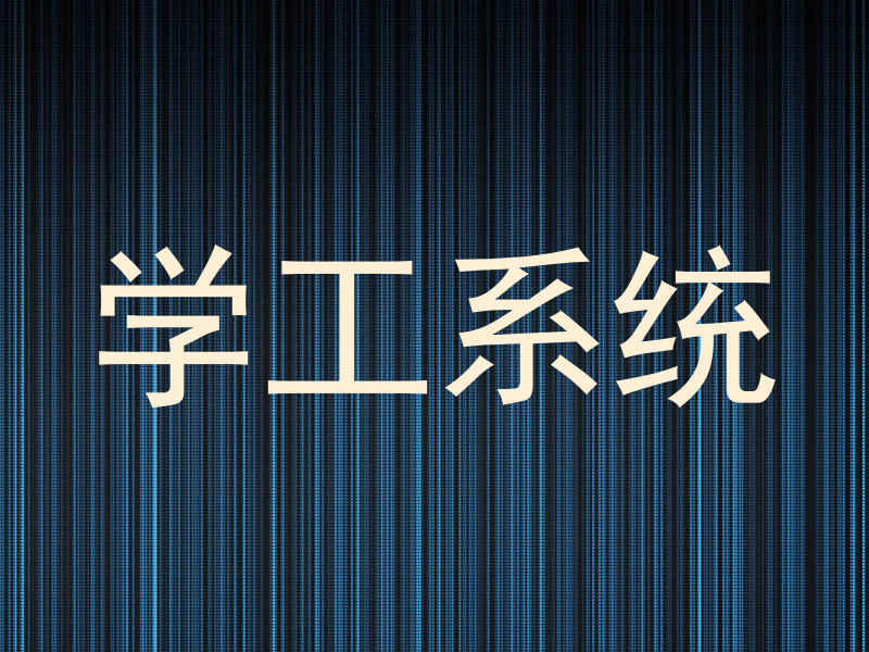 学工系统