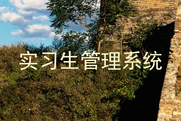 实习生管理系统