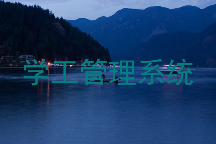 学工管理系统