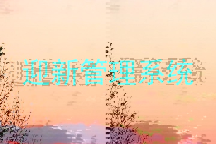 迎新管理系统