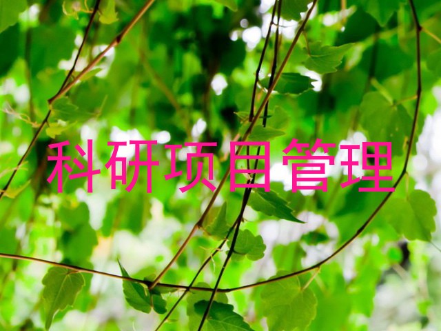 科研项目管理