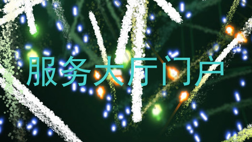 服务大厅门户