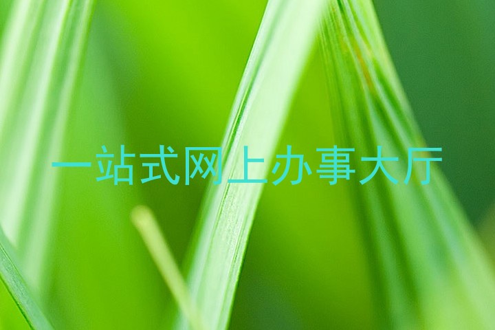 一站式网上办事大厅