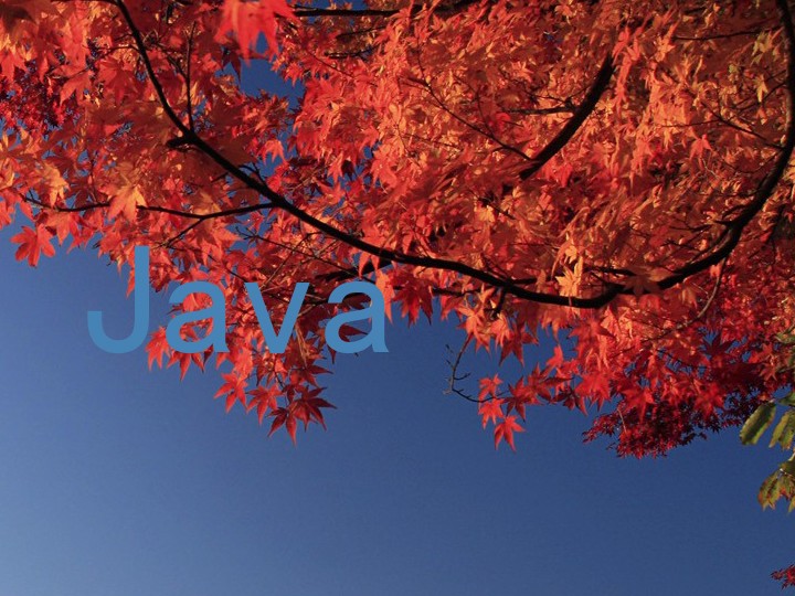Java