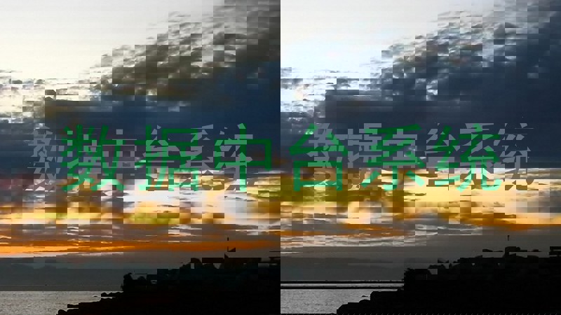 数据中台系统