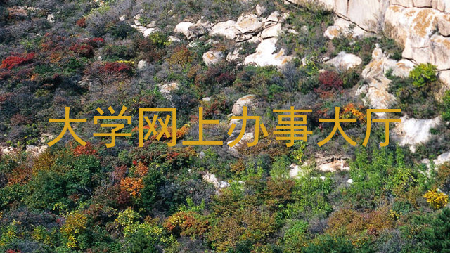 大学网上办事大厅