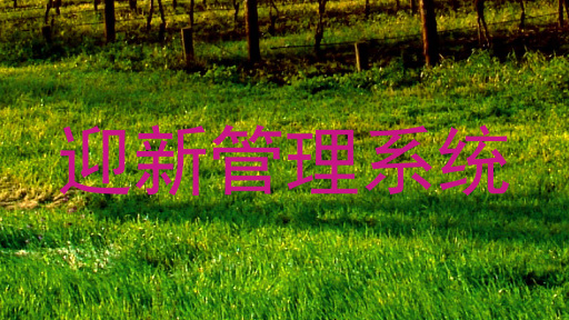 迎新管理系统