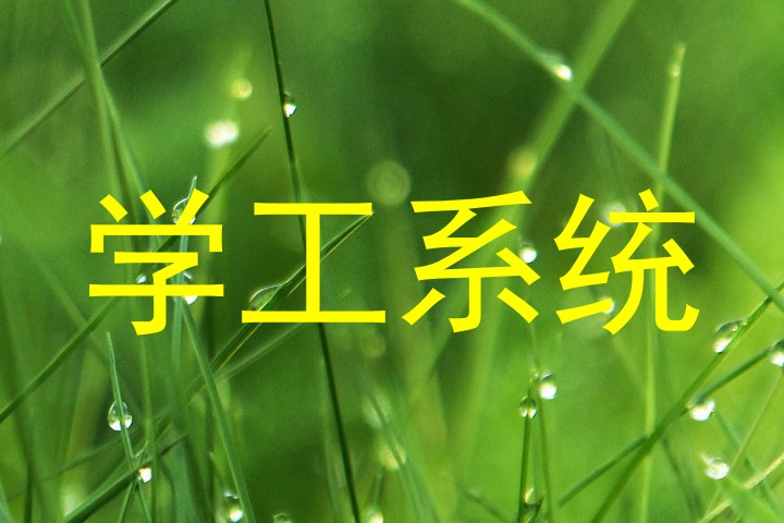 学工系统