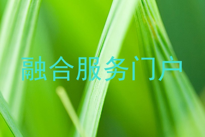 融合服务门户