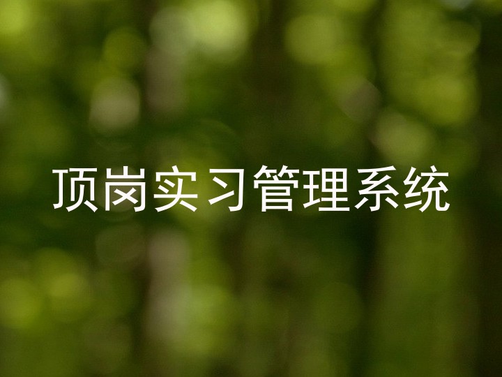 顶岗实习管理系统
