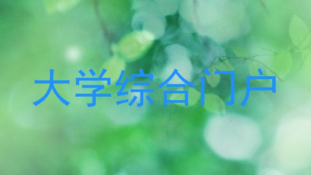 大学综合门户