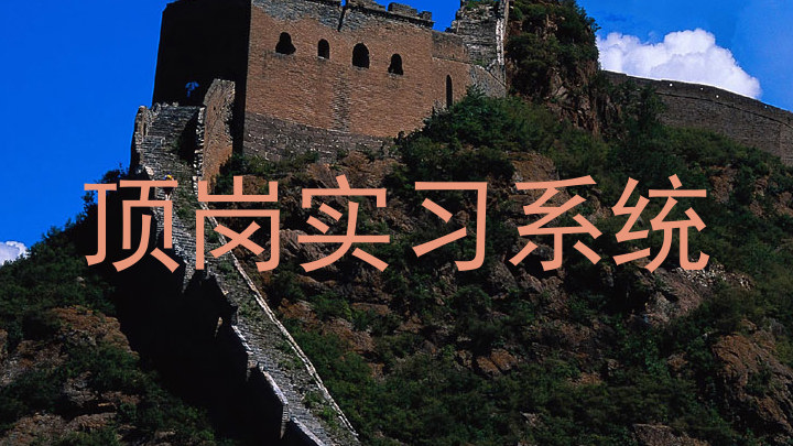 顶岗实习系统